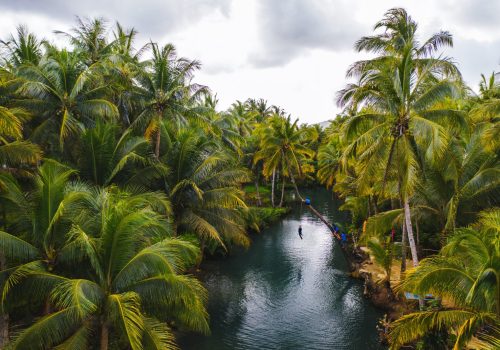 Kerala-Backwater-Tour-scaled.jpg